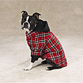 The Logger Red Utility Jacket for Dogs
