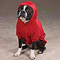 Zack & Zoey Soft Red Dog Sweatshirt