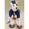 Football Fever Pet Halloween Costume