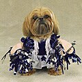 Spirit Paws Cheerleader Pet Halloween Costume