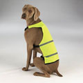 Bright Reflective Dog Safety Vest