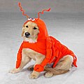 Lobster Paws Dog Halloween Costume