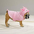 Piggy Pooch Halloween Costume