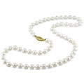 14k Gold Cultured Akoya Pearl Necklace (5.5-6 mm)