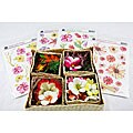 Prima- Gorgeous Aloha Tropical Flowers Collection