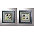 Butterfly Shadow Box (Set of 2)