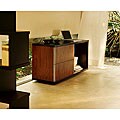 Dual-wood Cabinet