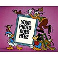 Disney Limited Edition Photo Fantasy Acetate