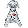 JLT Pets Flower Power Harness Leash Set