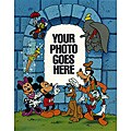 Disney Limited Edition Photo Fantasy Acetate