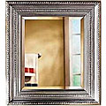 Decorative 27x33-inch Brushed Nickel Frame Mirror