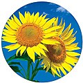 Sunflower Deluxe Round Antimicrobial Mouse Pad