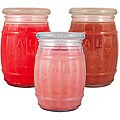 Salt City Candle Summer Cool 4-ounce Candle Gift Set (Pack of 3)
