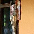 Wood 'Elephant's Effort' Mask (Ghana)