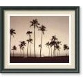 Michael Neubauer 'Platinum Palms II' Framed Art Print