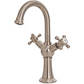 Brienza Classic Cross-handle Nickel Bar Faucet