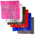 H2W Brand Western Bandana
