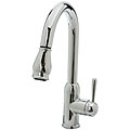 DeNovo Pulldown Kitchen Faucet with Two-function Spray