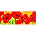 Hand-painted 'Brilliant Poppy' Gallery Wrapped Canvas Art