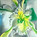 'Modern Orchid' Hand-painted Canvas Art