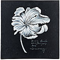 Crocus Flower Decorative Wall Tile