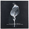 Hand-painted Lily Tile Wall Decor