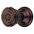 DanzeTwo Function Wall Mount Body Spray 