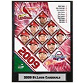 2009 St. Louis Cardinals 9x12-inch Photo Plaque