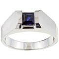 10k White Gold Men's Created Sapphire Ring (Size 10)