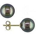 14k Gold Black Freshwater Pearl Earrings (7-7.5 mm)
