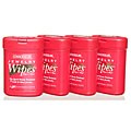 Connoisseurs Jewelry Wipe Kit (Pack of 4)