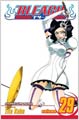 Bleach 29 (Paperback)