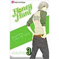 Honey Hunt 3 (Paperback)