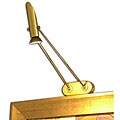 Brass Desk/ Picture Light