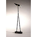 Black Desk/ Picture Light