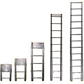 Telescopic Ladder