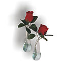 Recycled Teardrop Glass Bud Vase Sconces (Set of 2)