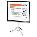 Quartet Portable Tripod Projection Screen (50 in. x 50 in.) 