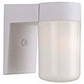 White Finish One-light Outdoor Wall Fixture