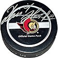 Dominik Hasek Ottawa Senators Game Model Puck