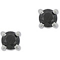 Sterling Silver 1/4ct TDW Black Diamond Stud Earrings