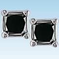 14k White Gold 2ct TDW Black Diamond Square Studs