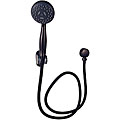 Price Pfister Oil-rubbed Bronze Handheld Shower