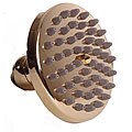 Ondine 4-inch Polished Brass Rainmaker Showerhead