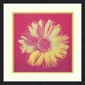 Andy Warhol 'Daisy (Yellow on Pink), 1982' Framed Art Print