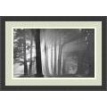 Mark Citret 'Morning, Harding Park, San Francisco' Framed Art