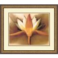 Betsy Cameron 'Orange Lotus' Framed Art Print