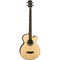 Luna Muse Acoustic/ Electric Bass Guitar