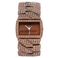 DKNY Women's Brown Steel Champagne Crystal Watch