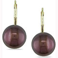 14k Yellow Gold Brown FW Pearl Leverback Earrings (9.5-10mm)